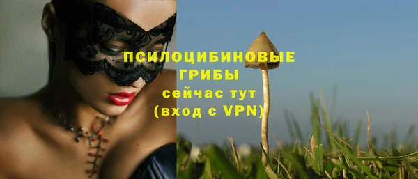 mix Аркадак