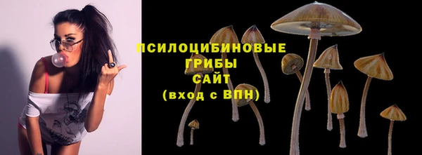 mix Аркадак
