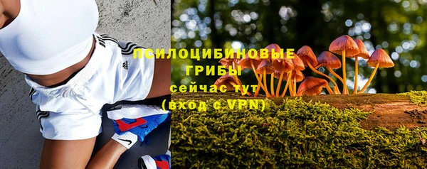 каннабис Арсеньев